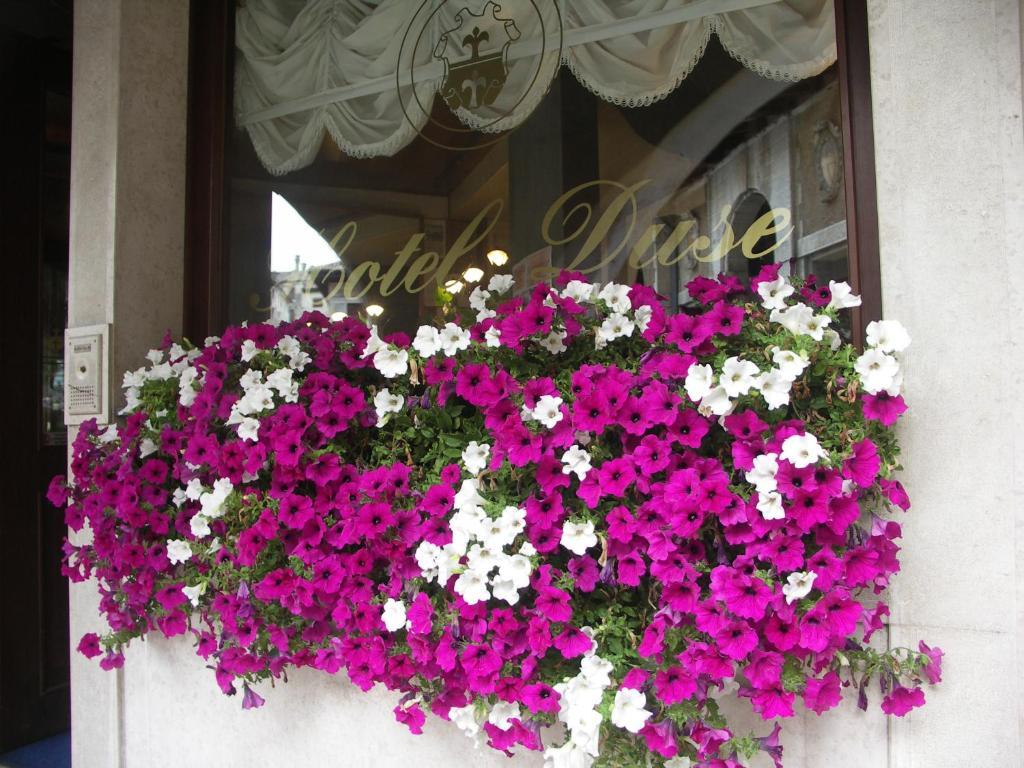 Hotel Duse Asolo Zewnętrze zdjęcie